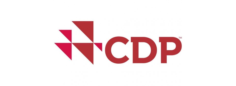 Daikin в элитном списке Climate Change A List